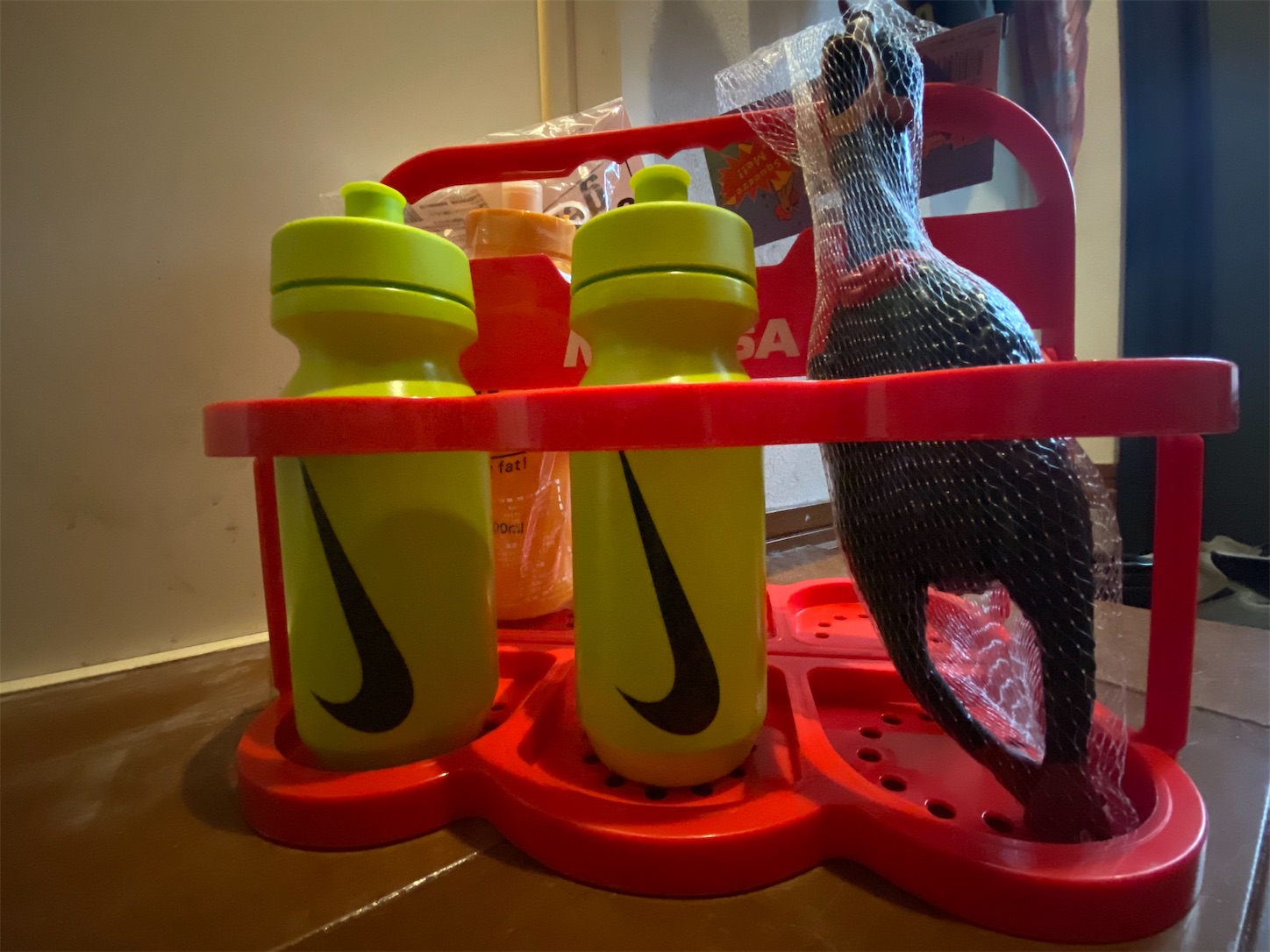 f:id:bucyoub51:20210213104248j:image