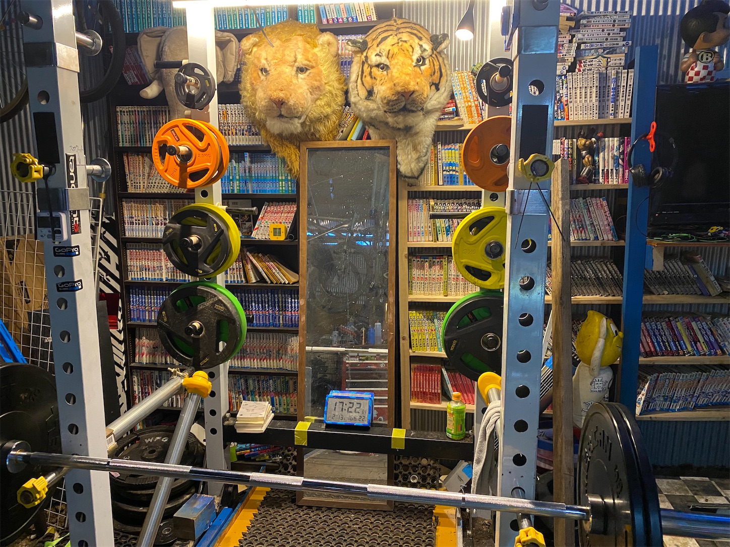 f:id:bucyoub51:20210215202524j:image