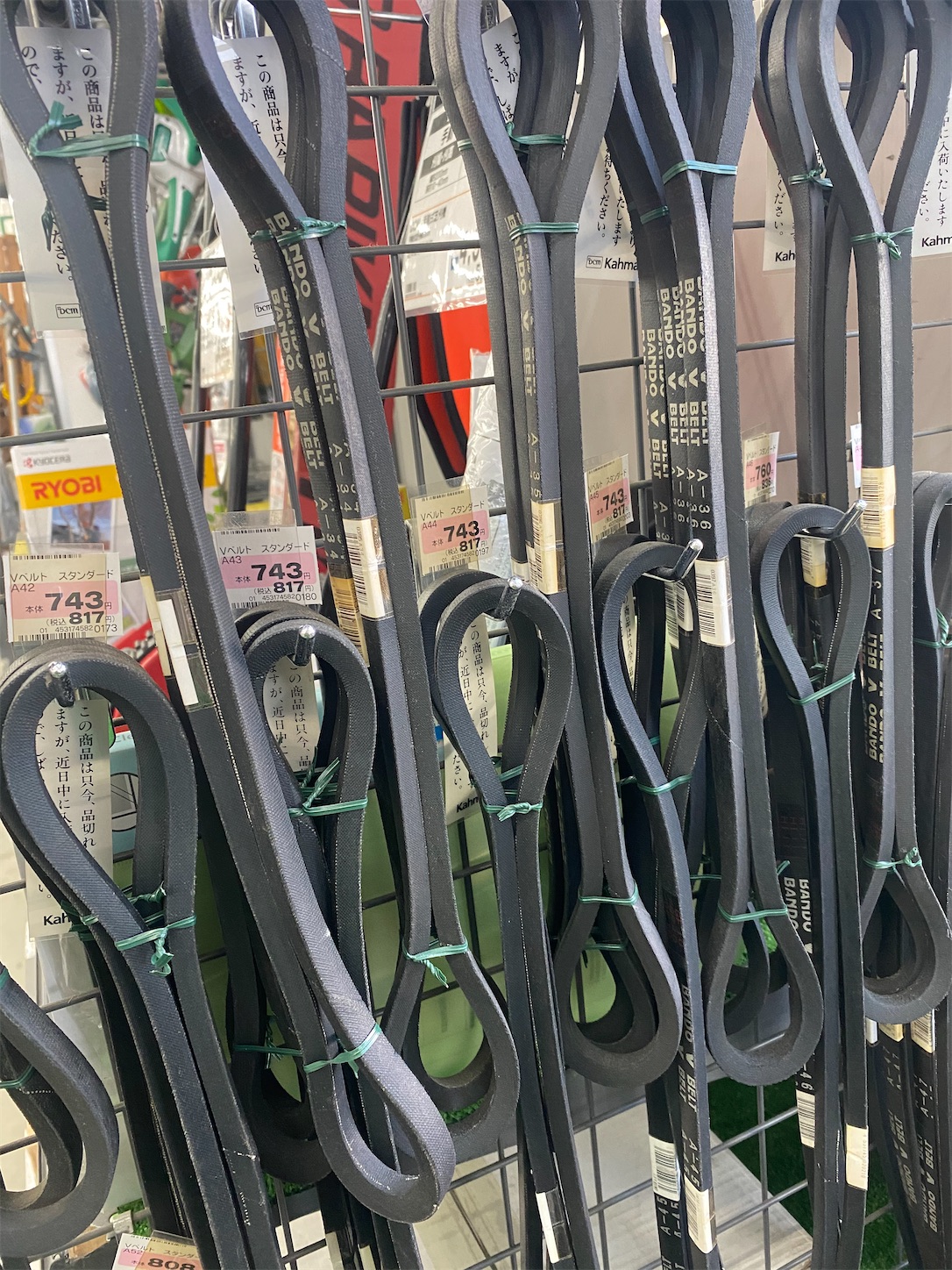 f:id:bucyoub51:20210216175100j:image