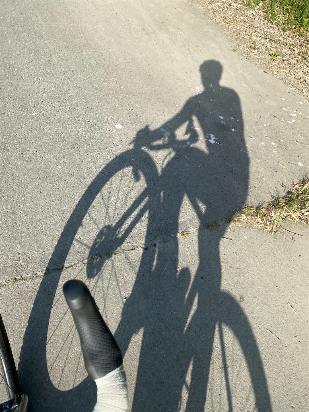 f:id:bucyoub51:20210427150110j:image