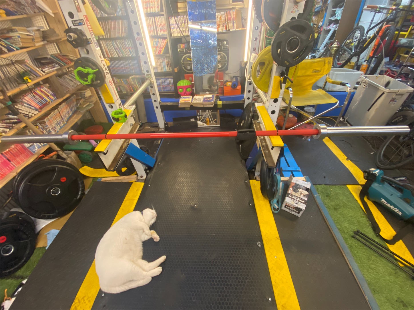 f:id:bucyoub51:20210812150411j:image