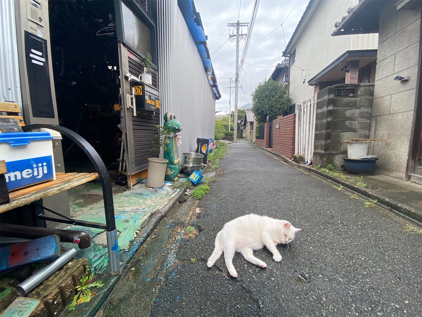 f:id:bucyoub51:20210818160203j:image