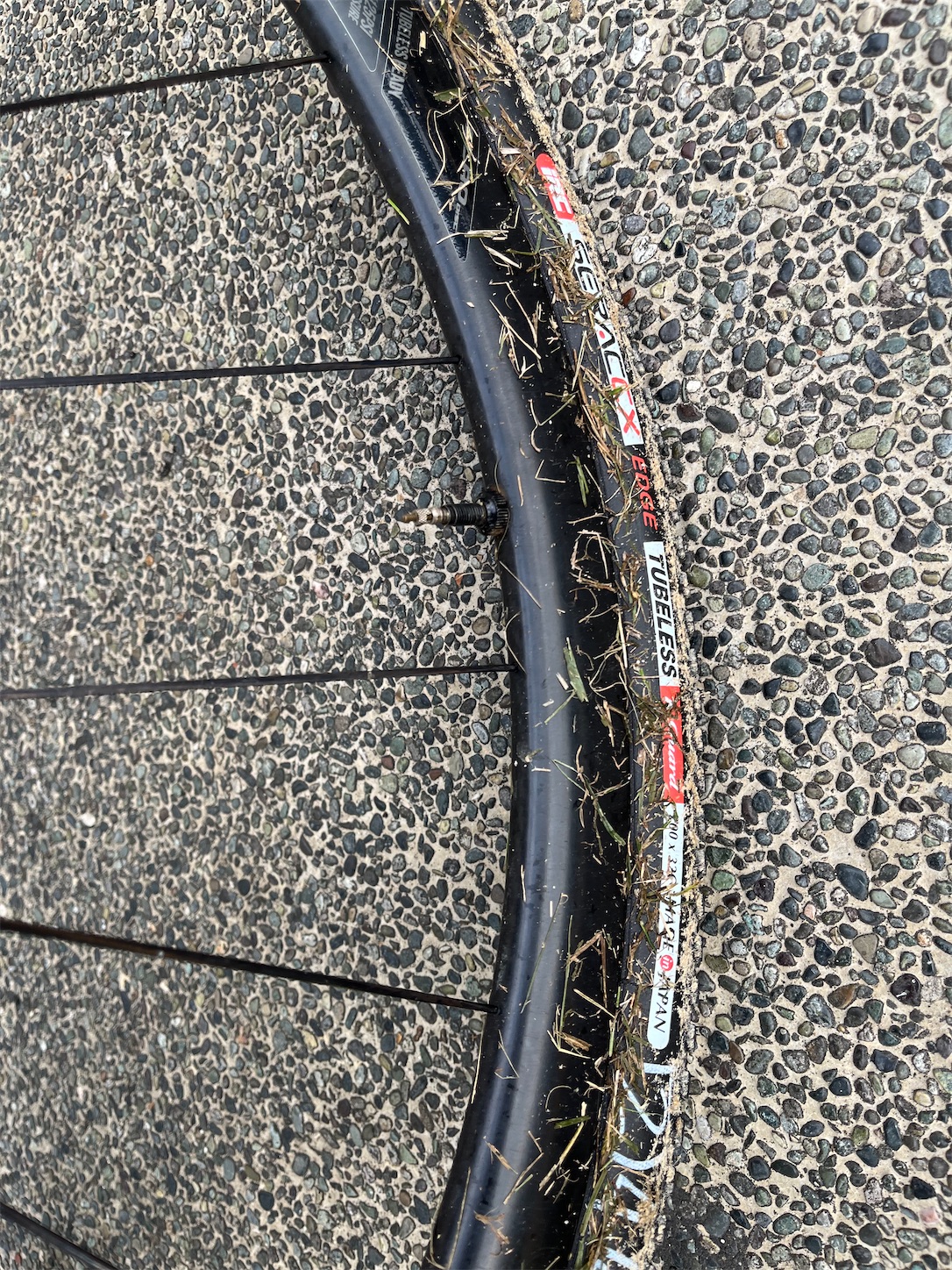 f:id:bucyoub51:20211005091904j:image