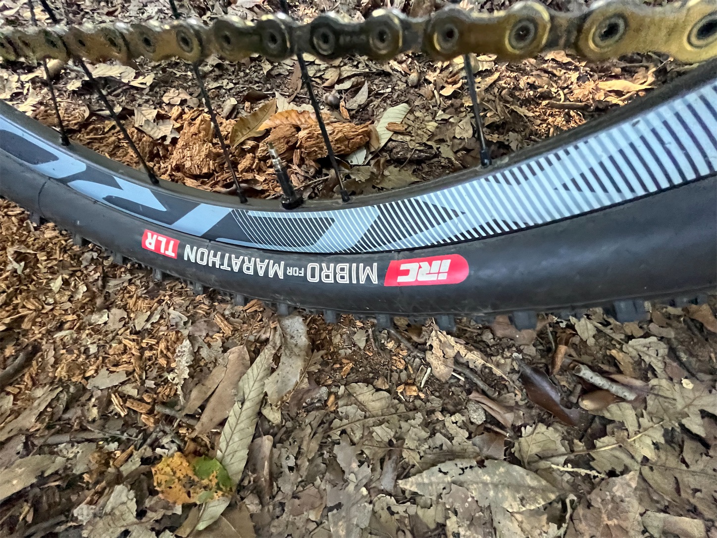 f:id:bucyoub51:20211009162218j:image