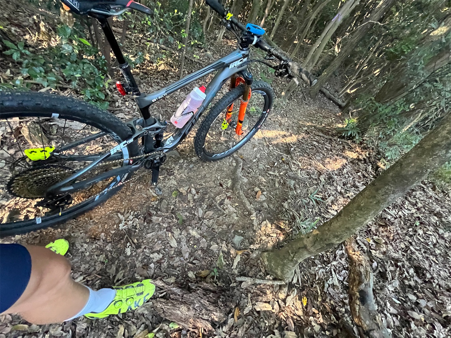 f:id:bucyoub51:20211009162241j:image