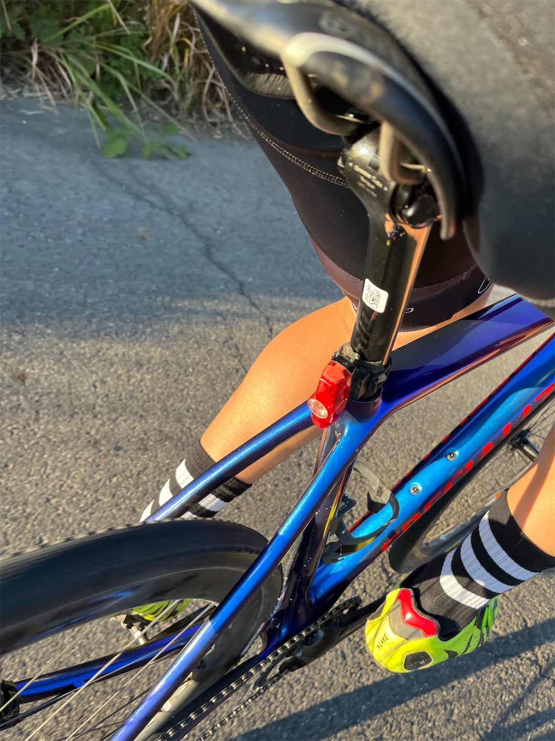 f:id:bucyoub51:20211104213048j:image f:id:bucyoub51:20211104213048j:image