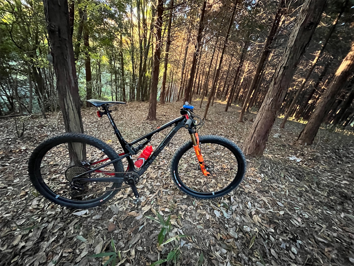 f:id:bucyoub51:20211128095011j:image