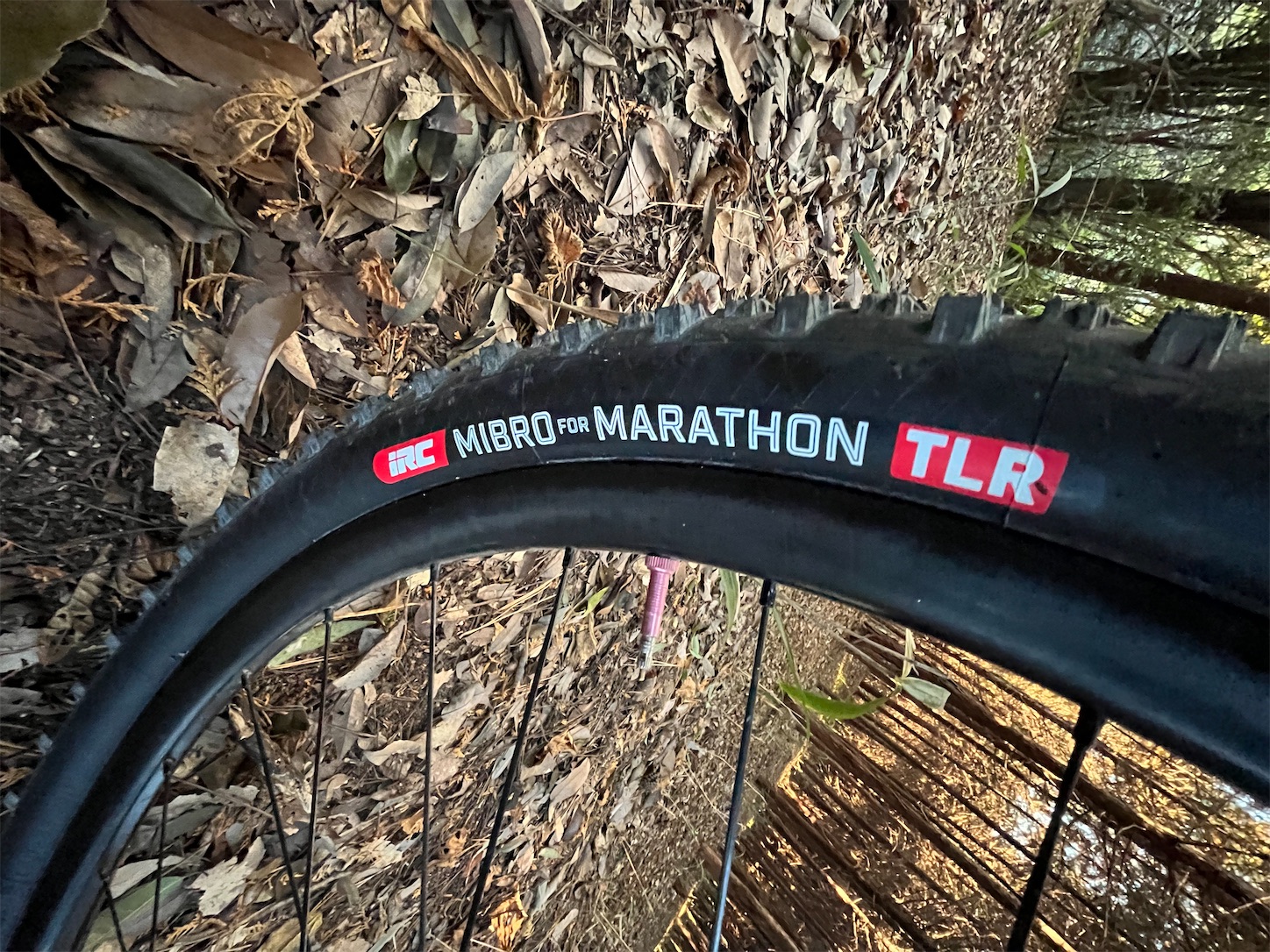 f:id:bucyoub51:20211128095015j:image