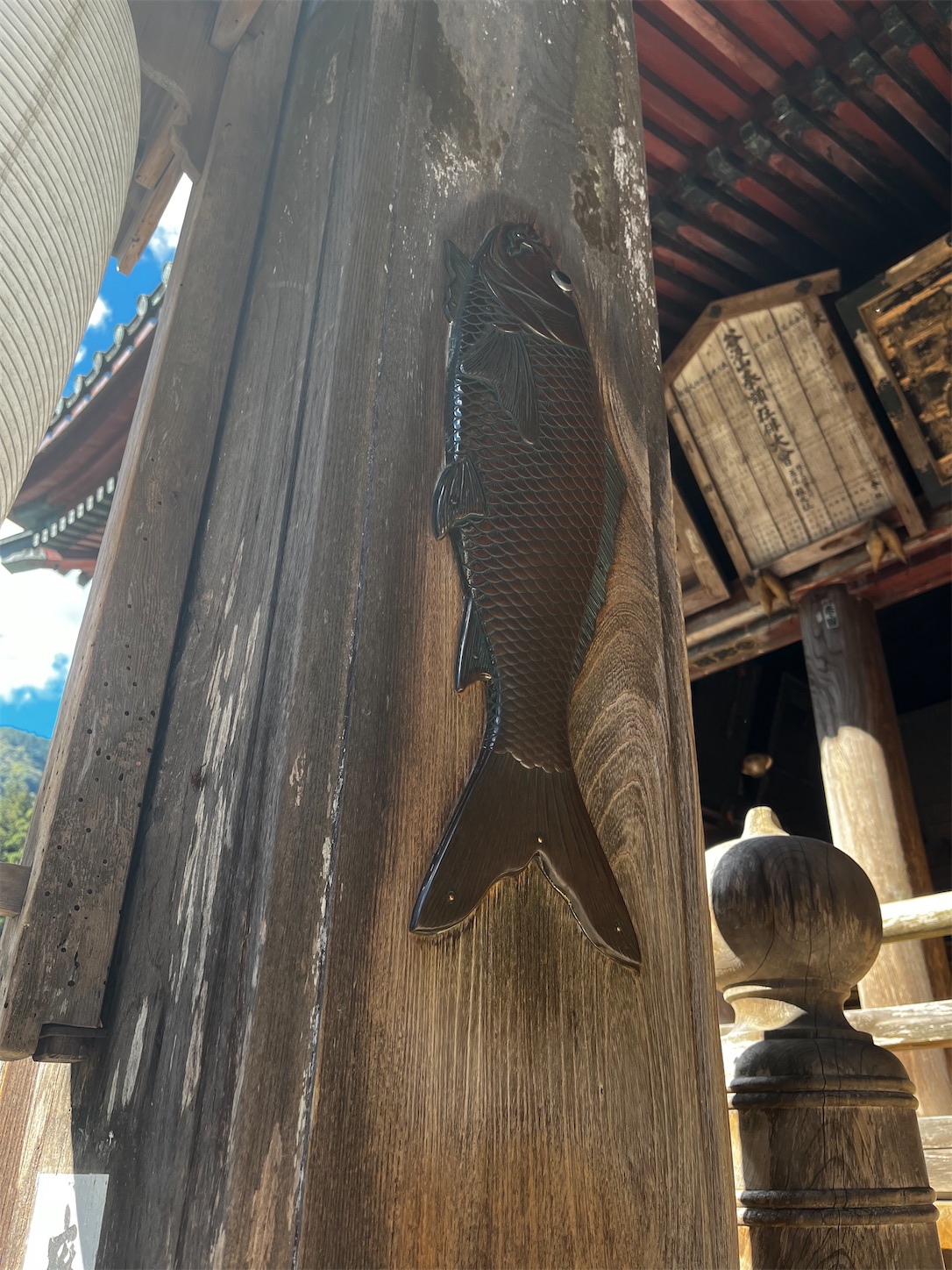 f:id:bucyoub51:20231030212801j:image