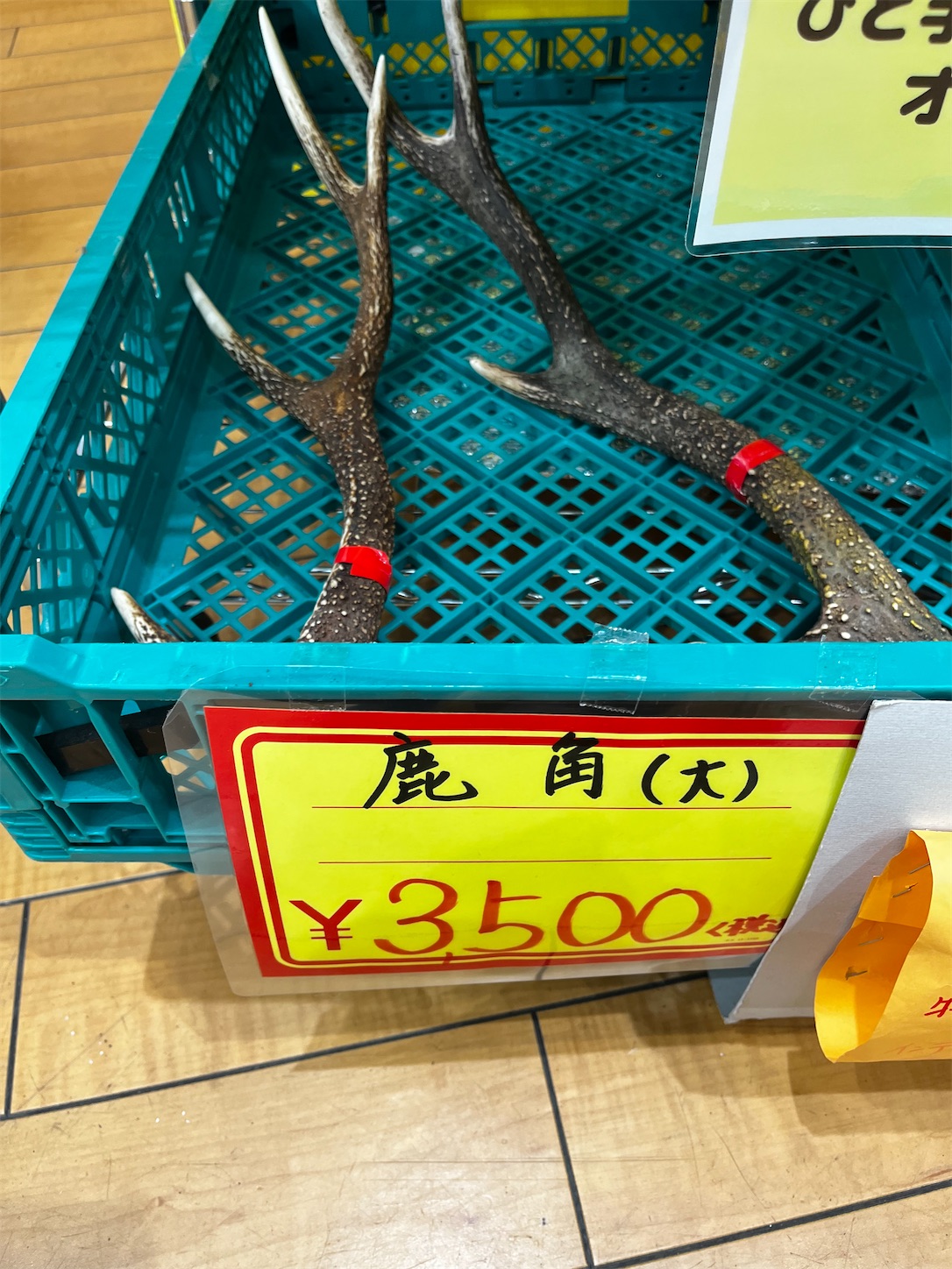 f:id:bucyoub51:20231030212809j:image