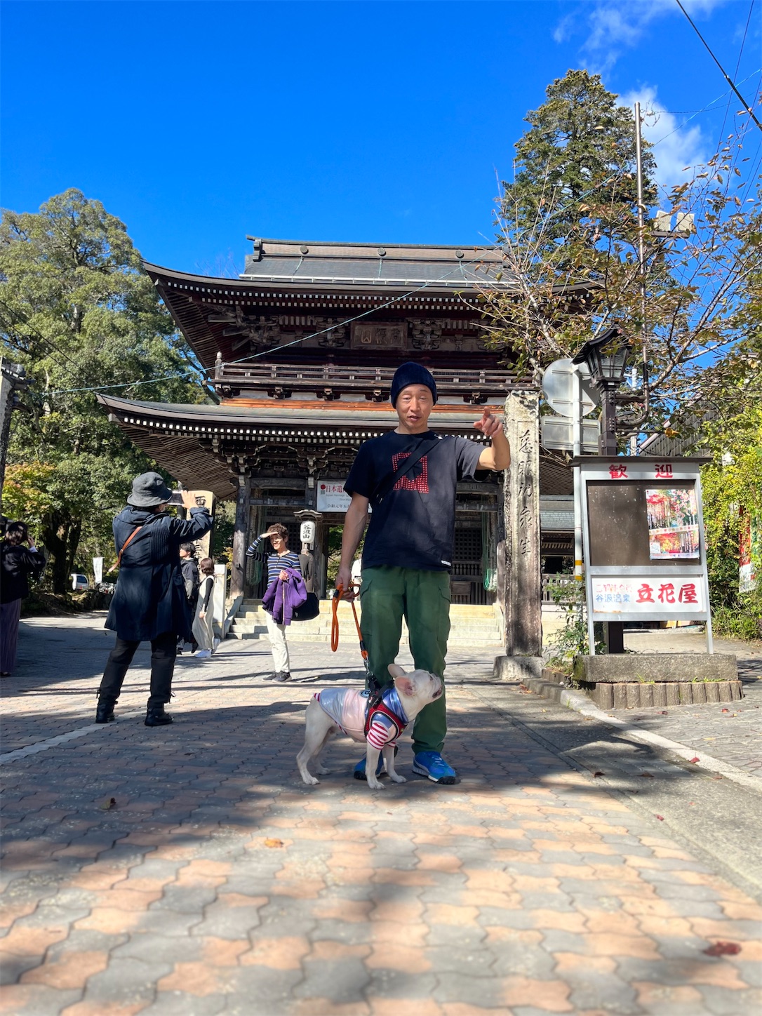 f:id:bucyoub51:20231030212820j:image