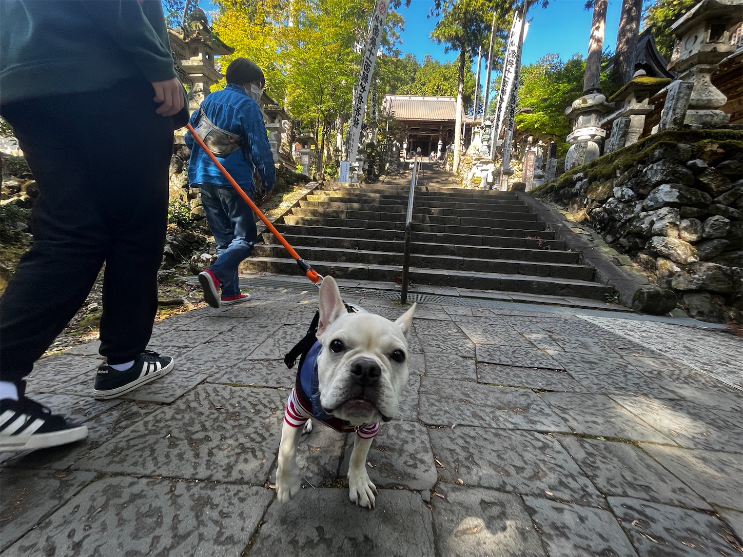 f:id:bucyoub51:20231030212827j:image