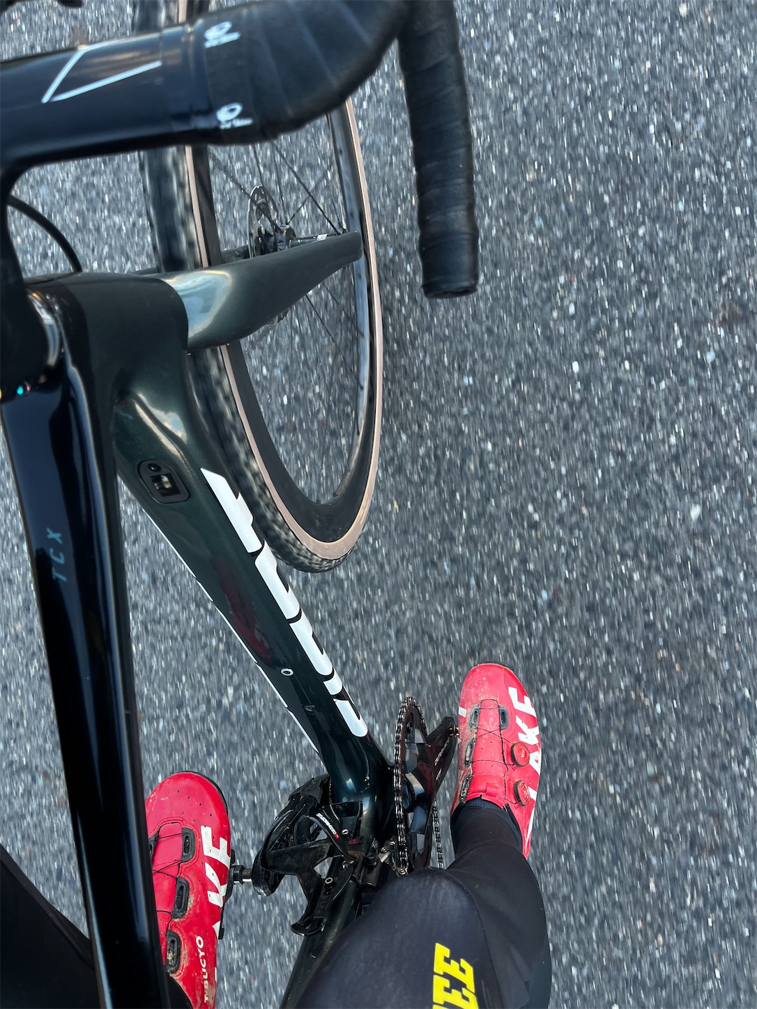 f:id:bucyoub51:20240125075534j:image