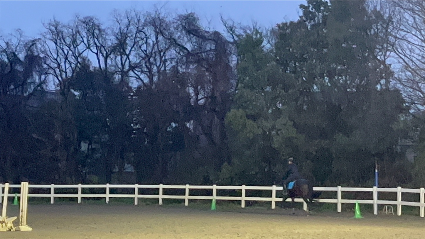 f:id:bucyoub51:20240329202915j:image