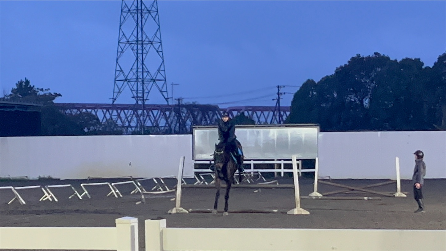 f:id:bucyoub51:20240329203056j:image