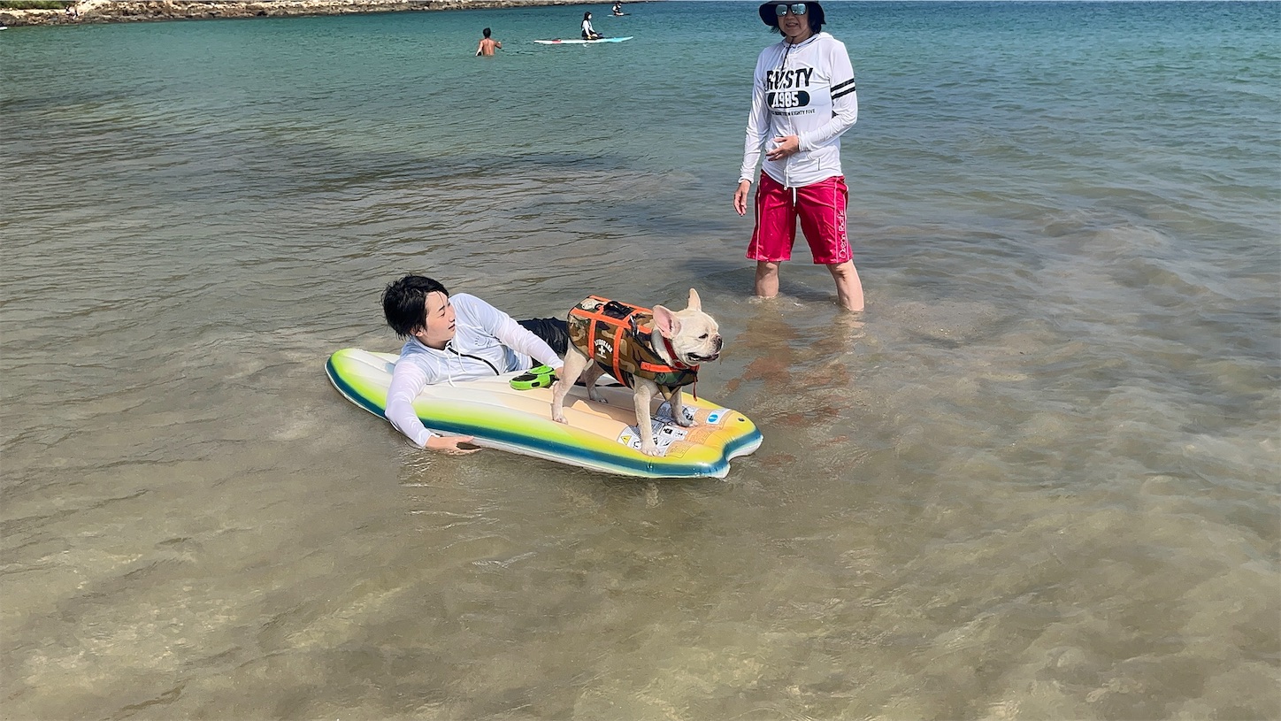 f:id:bucyoub51:20250827181712j:image