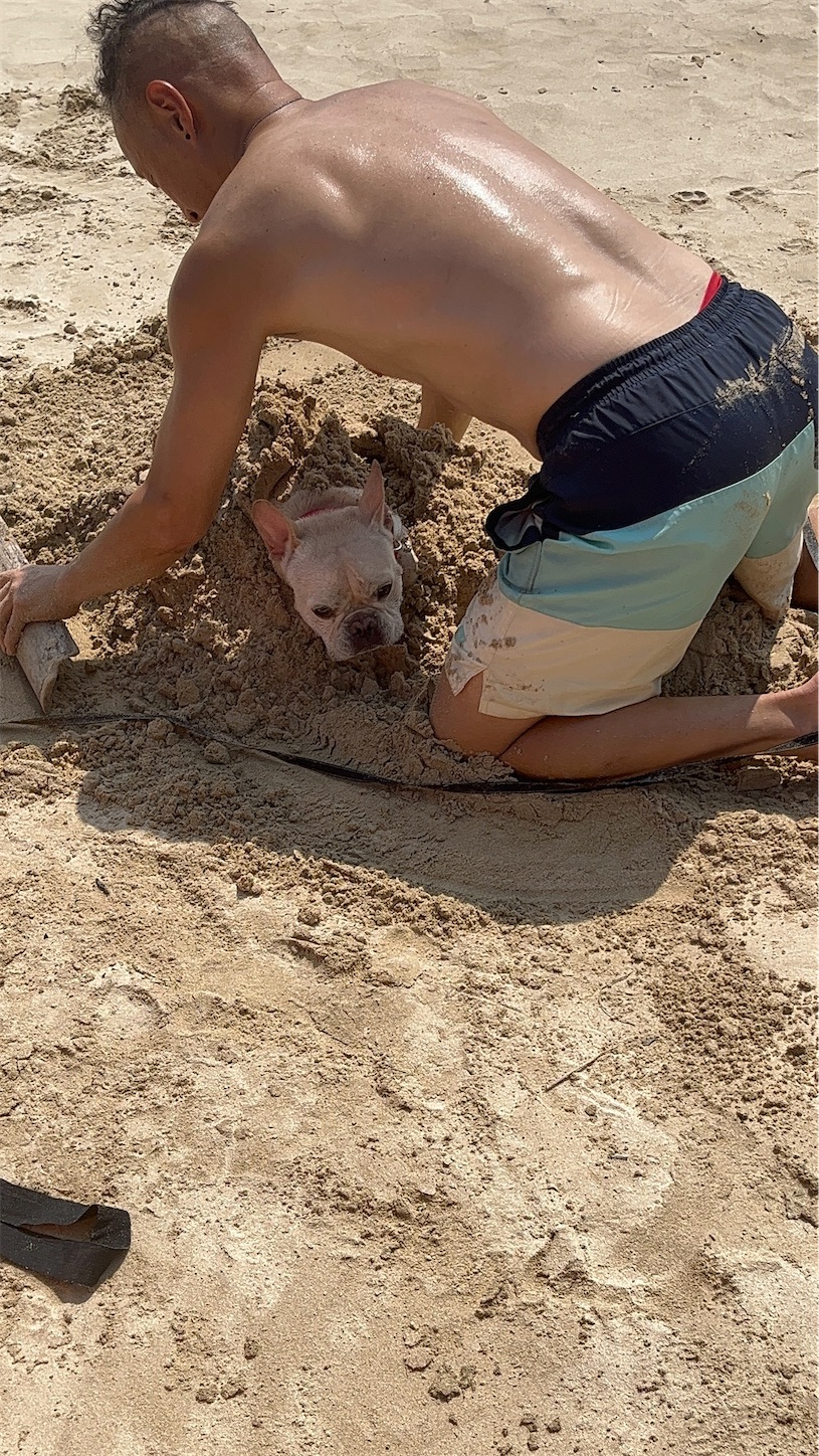 f:id:bucyoub51:20250827181725j:image