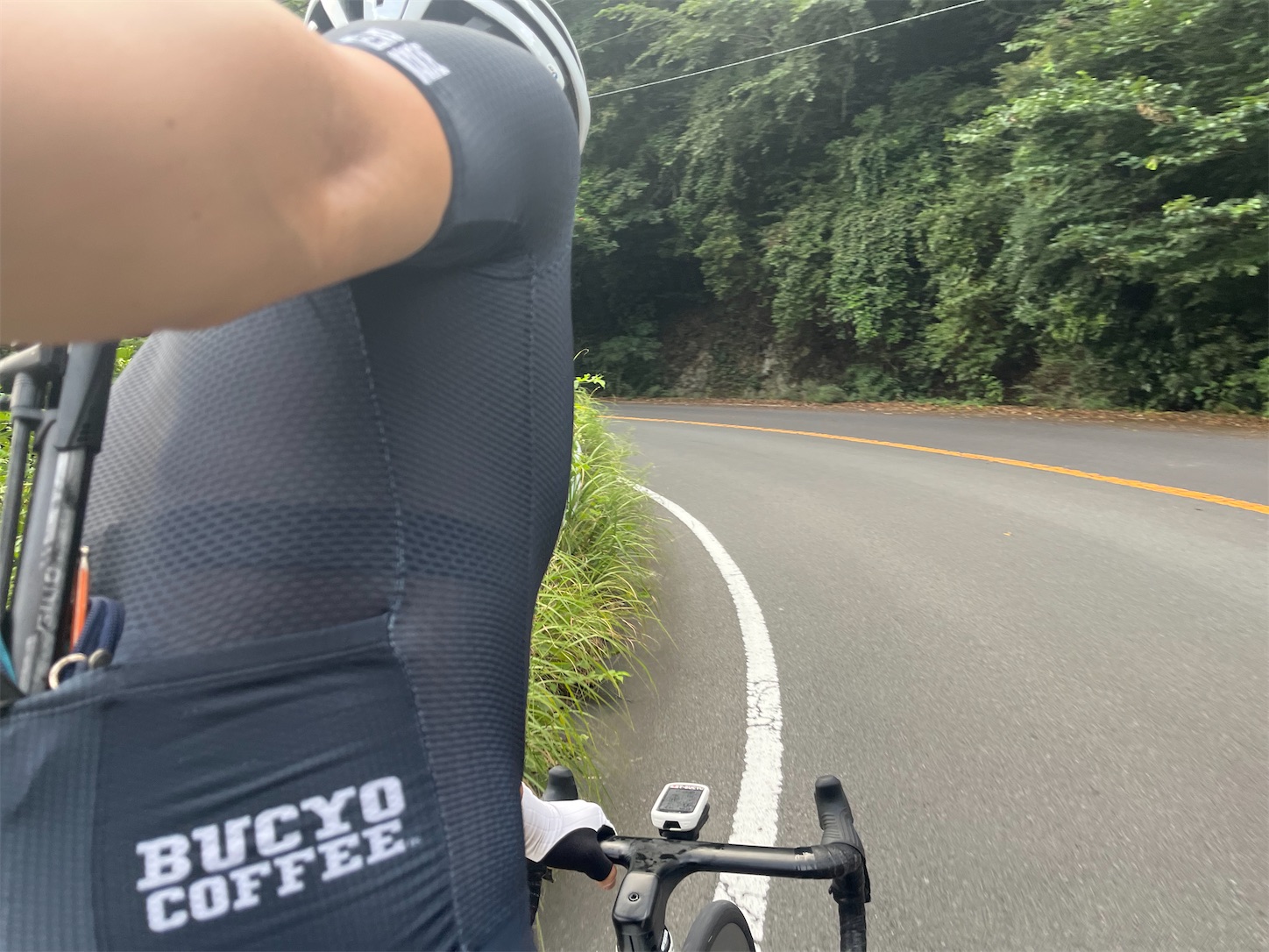 f:id:bucyoub51:20250830094814j:image