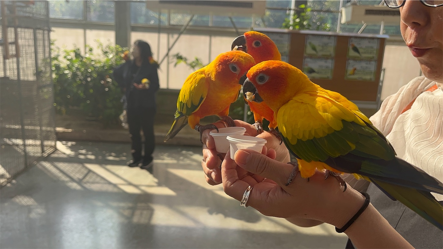 f:id:bucyoub51:20250830094826j:image