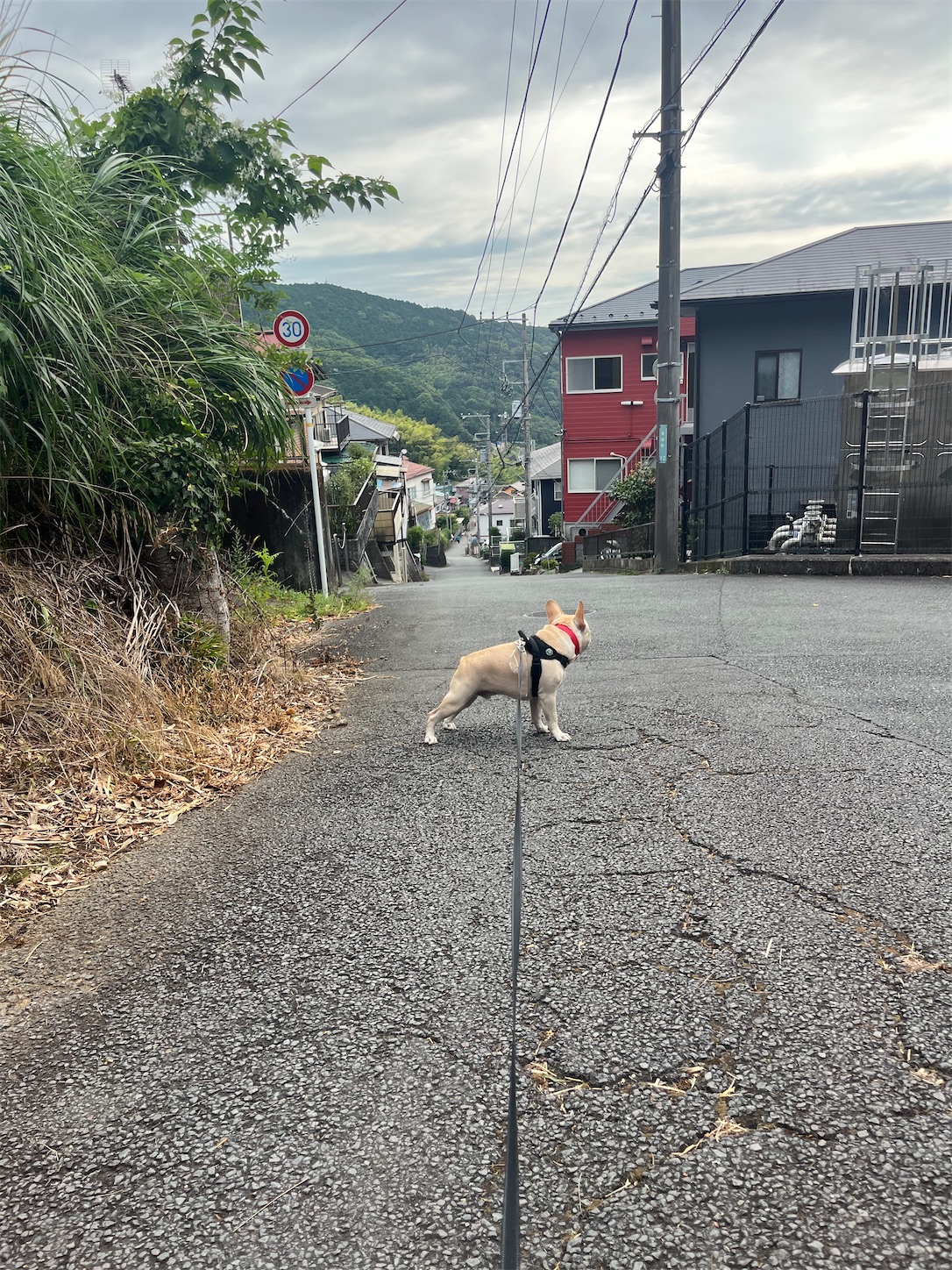 f:id:bucyoub51:20250830094830j:image