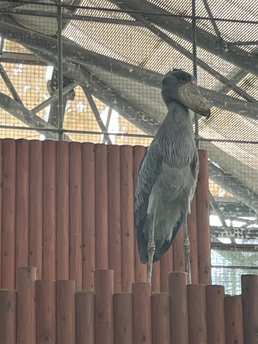 f:id:bucyoub51:20250830094846j:image