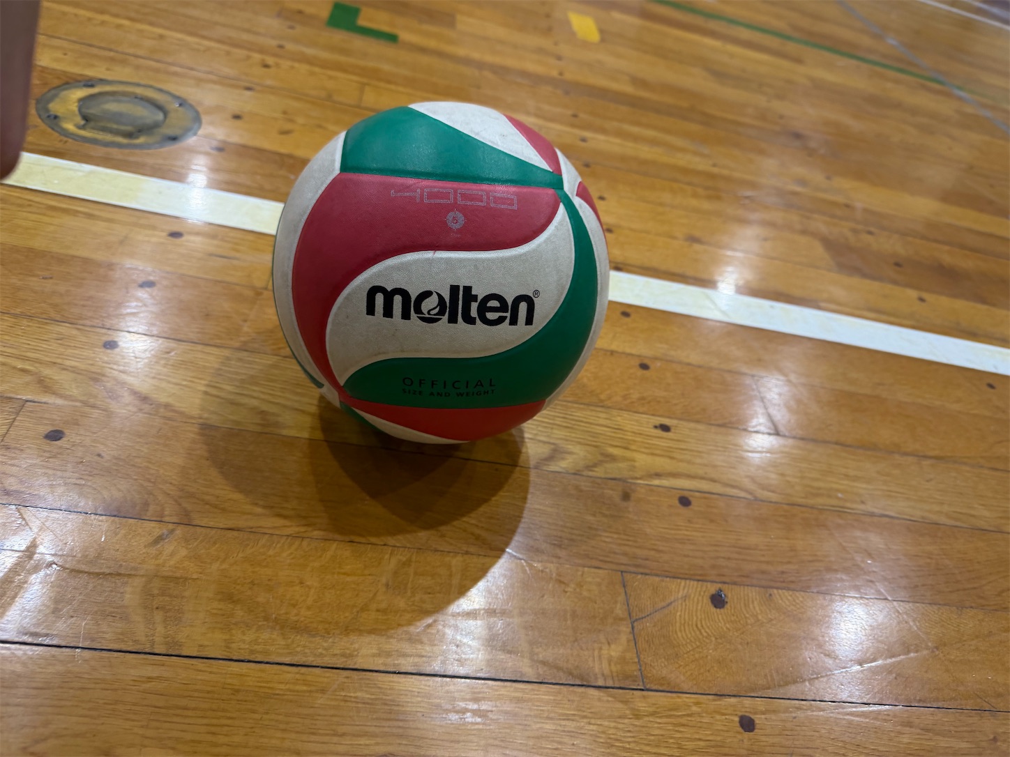 f:id:bucyoub51:20260131072750j:image