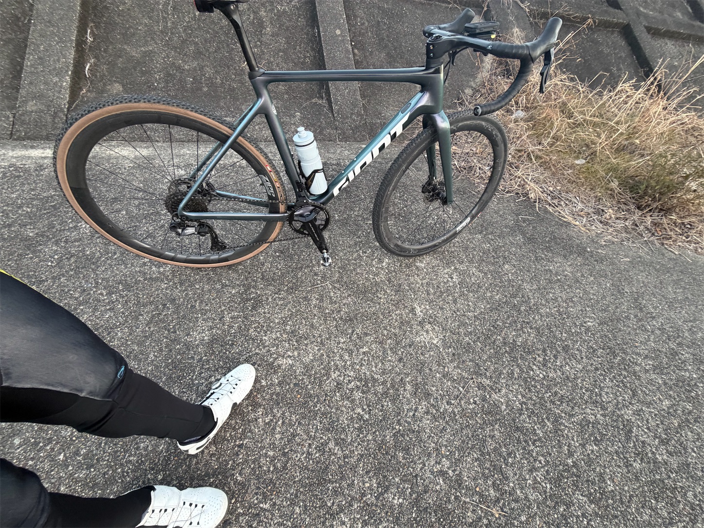 f:id:bucyoub51:20260131073003j:image