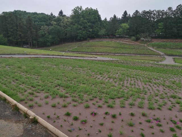 f:id:buddha01:20170523201132j:image