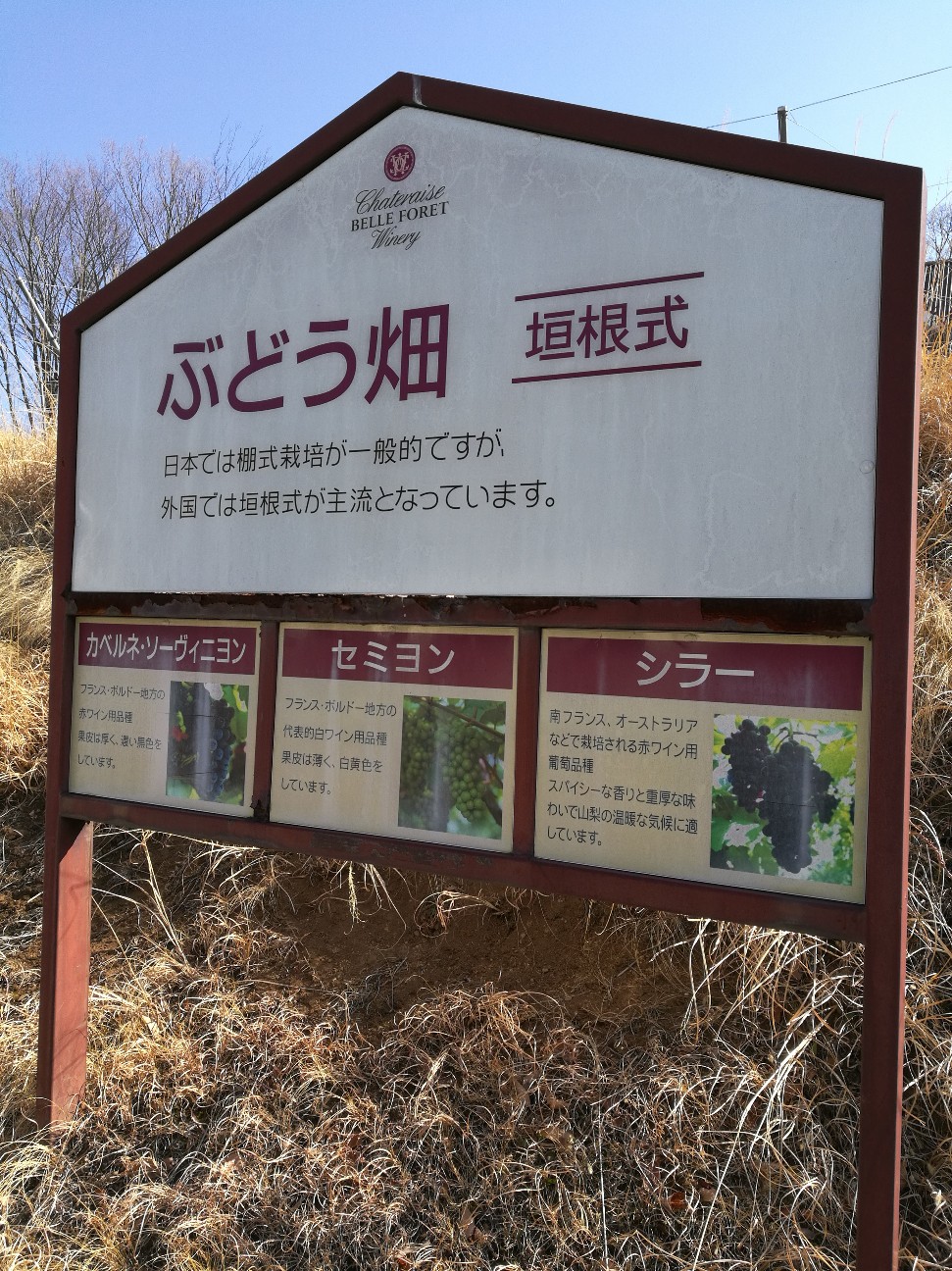 f:id:buddha01:20180223233110j:image