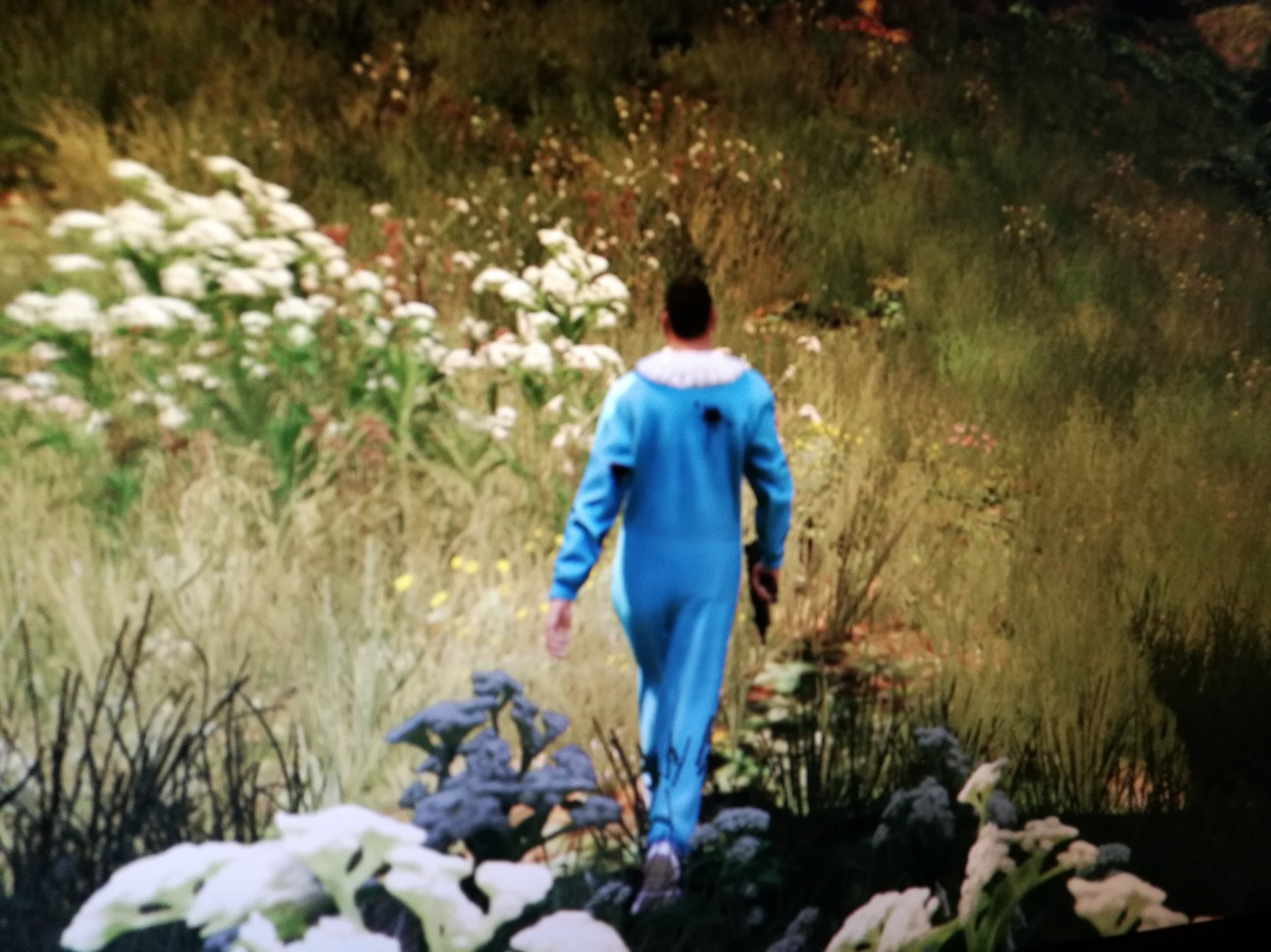 f:id:buddha01:20180615231007j:image