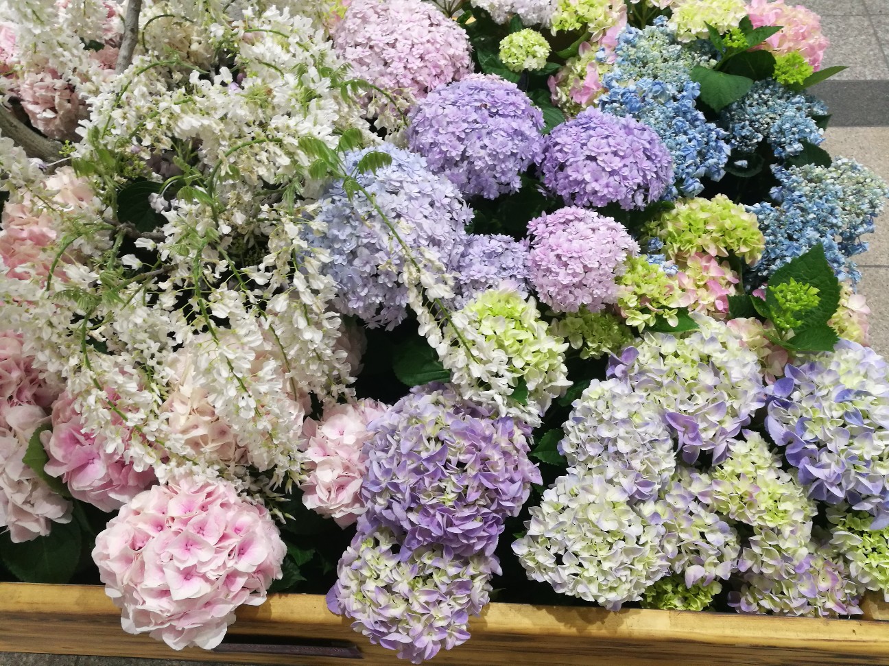 f:id:buddha01:20190601235419j:image