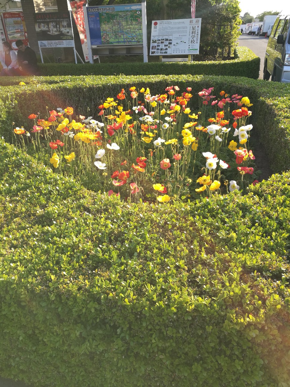 f:id:buddha01:20190618234224j:plain