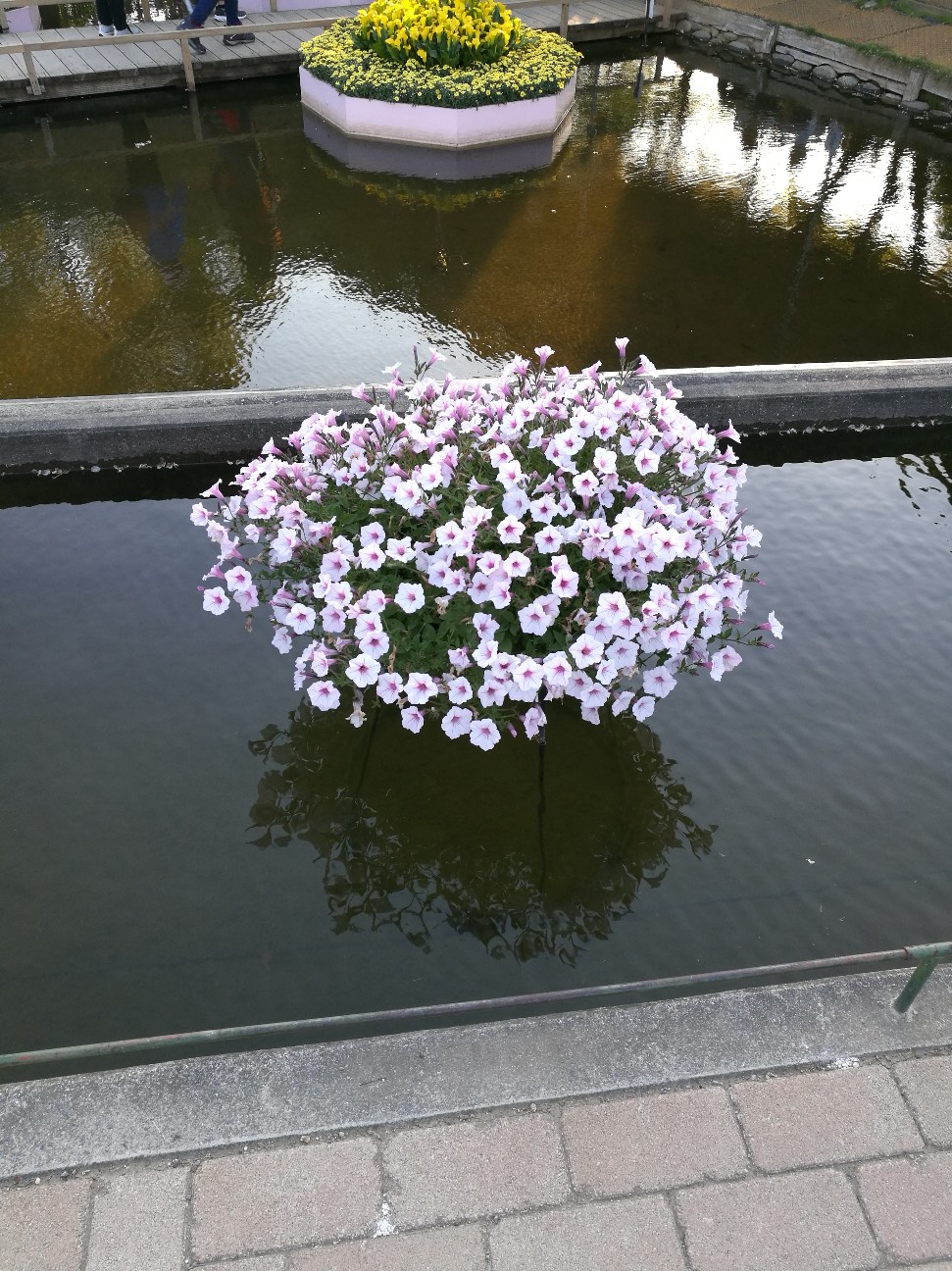 f:id:buddha01:20190618234236j:plain