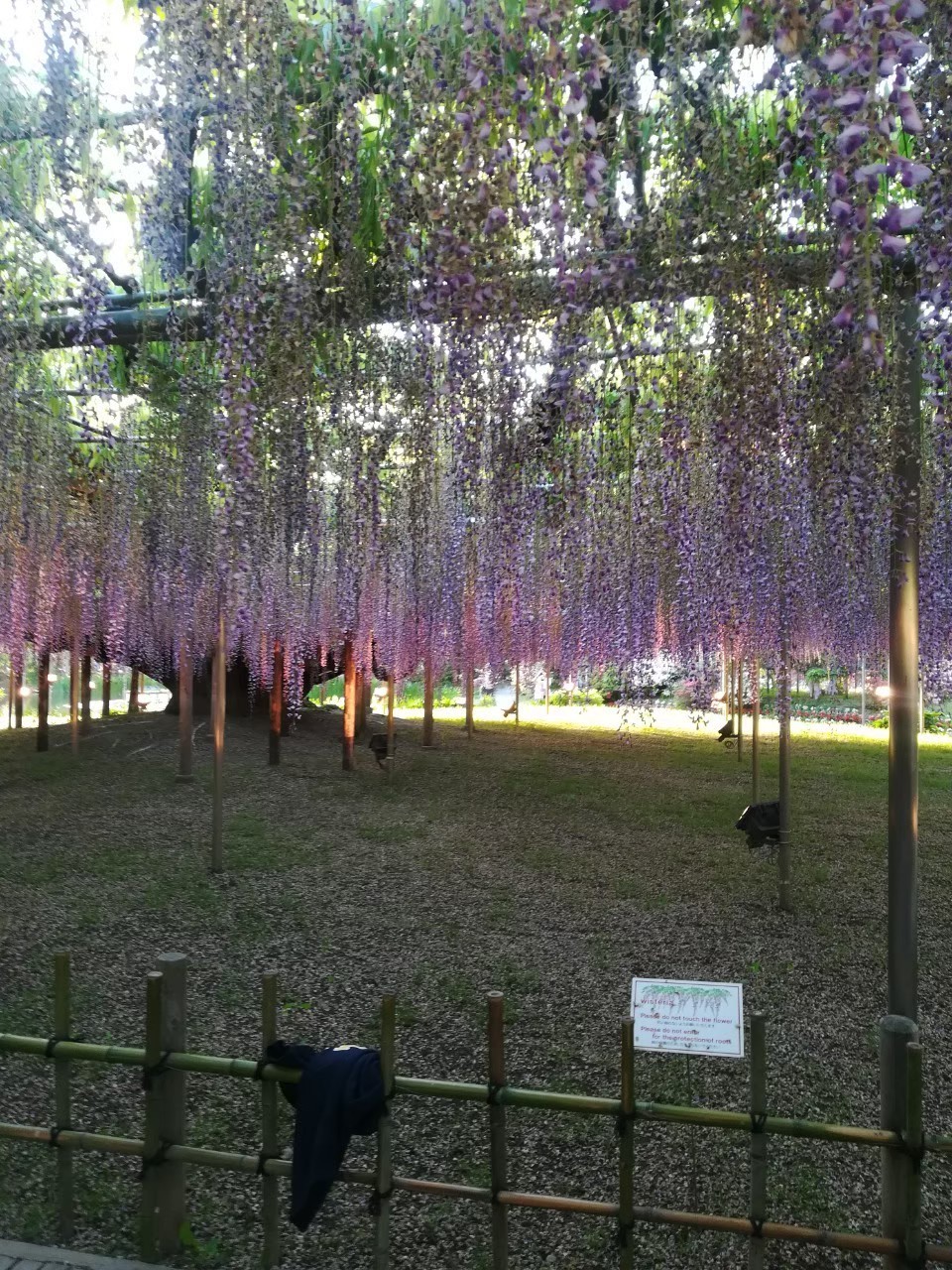 f:id:buddha01:20190618234312j:plain