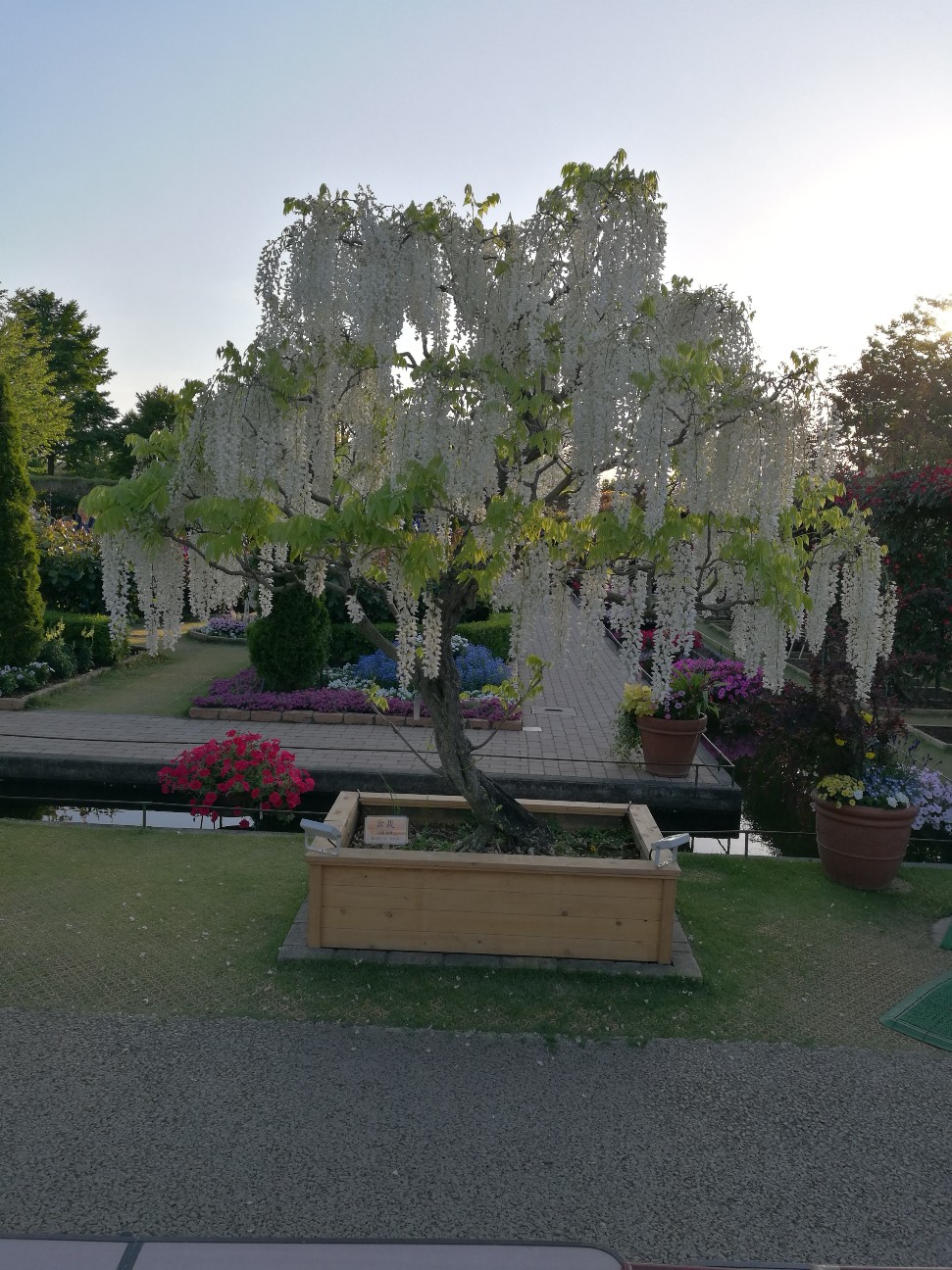 f:id:buddha01:20190618234505j:plain