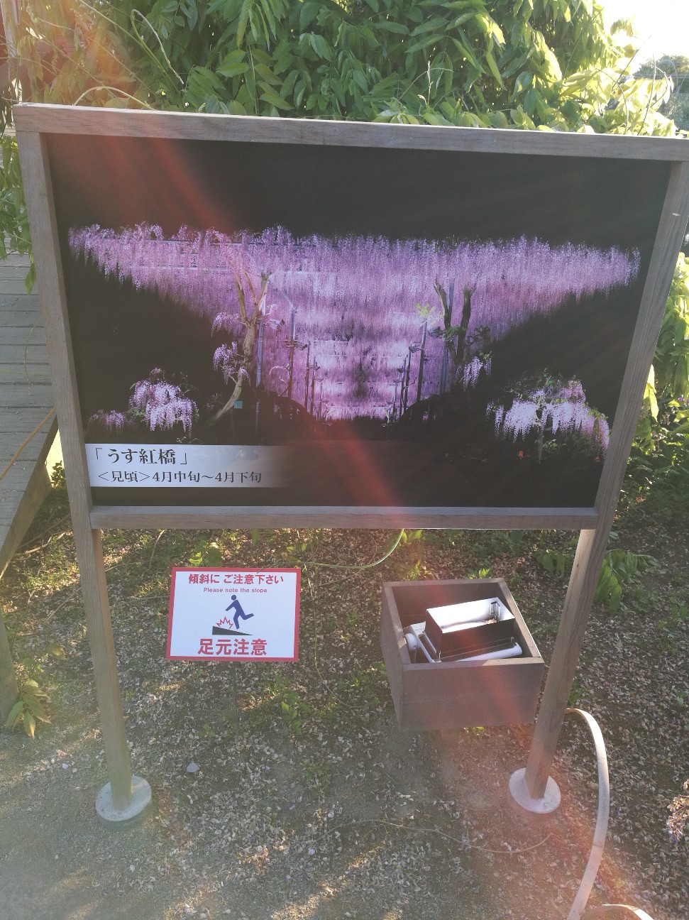 f:id:buddha01:20190618234515j:plain