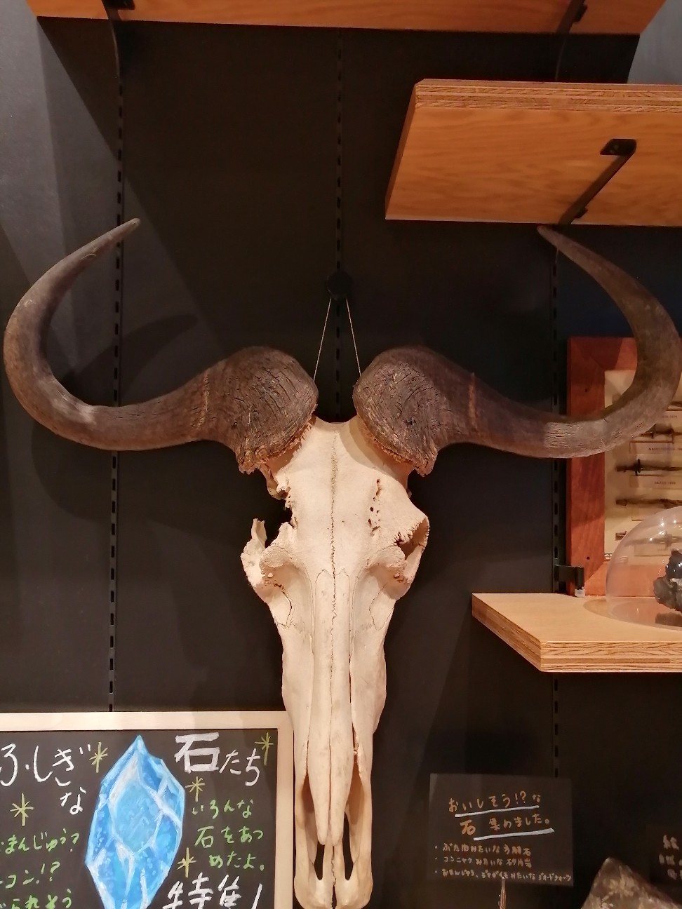 f:id:buddha01:20221025220917j:image