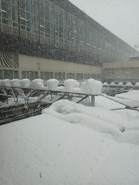 f:id:buddha01:20221219203312j:image