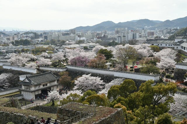 f:id:buddhistindy:20160416104736j:image f:id:buddhistindy:20160416104736j:image
