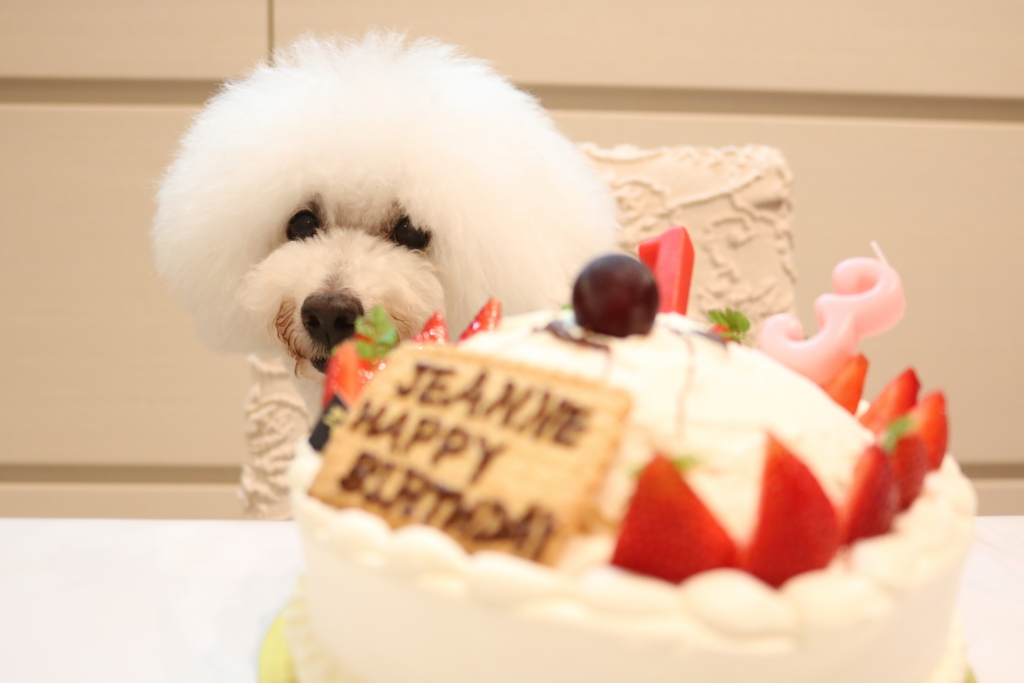 f:id:buddy1105:20160705233517j:plain f:id:buddy1105:20160705233517j:plain
