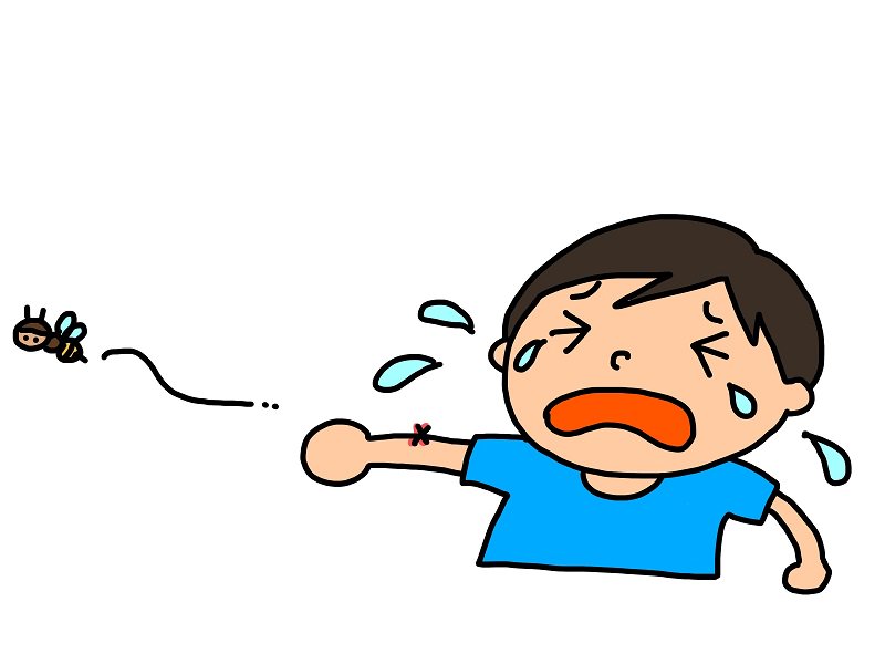 f:id:budnickmute:20191113130541j:plain f:id:budnickmute:20191113130541j:plain