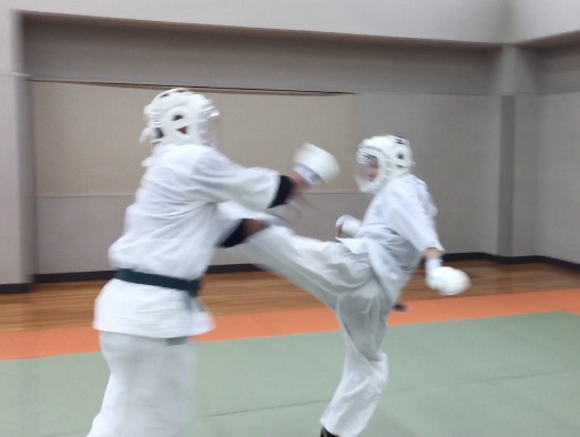 f:id:budo727-kudo:20190727212032j:plain f:id:budo727-kudo:20190727212032j:plain