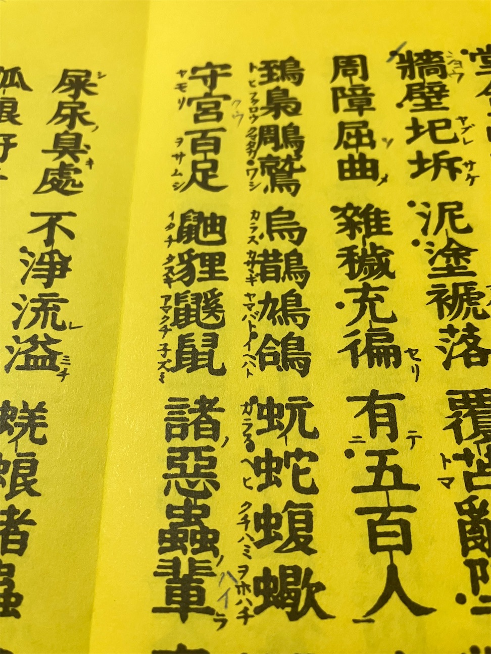 f:id:budoku-w:20261006150132j:image