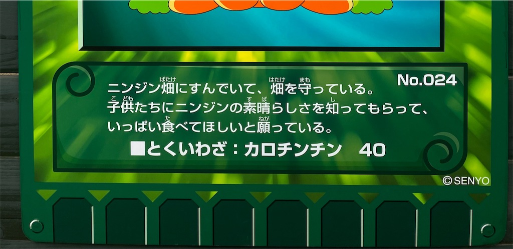 f:id:budorigo:20250526180454j:image