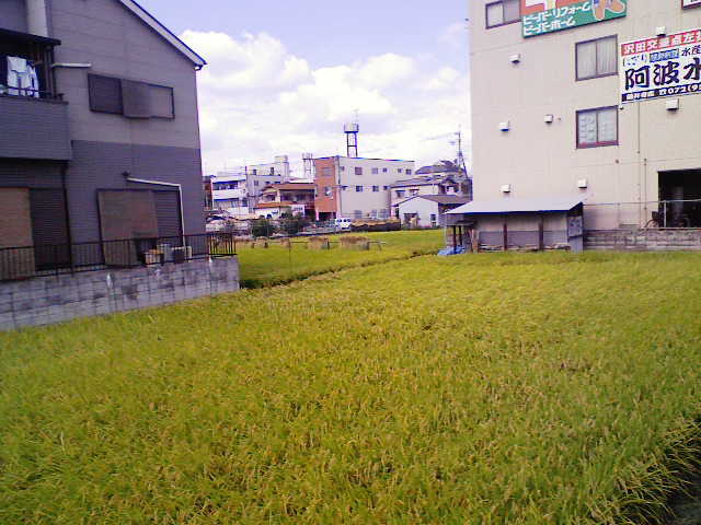 イメージ 2