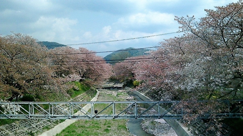 イメージ 4
