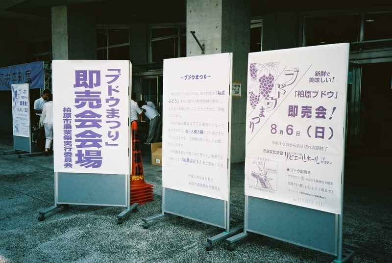 イメージ 3