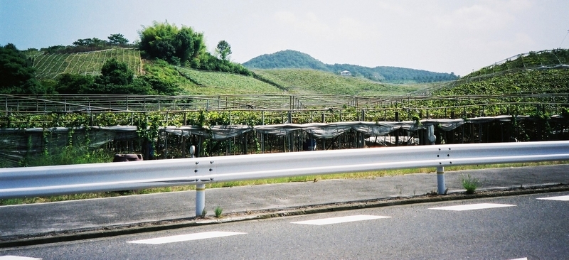 イメージ 5