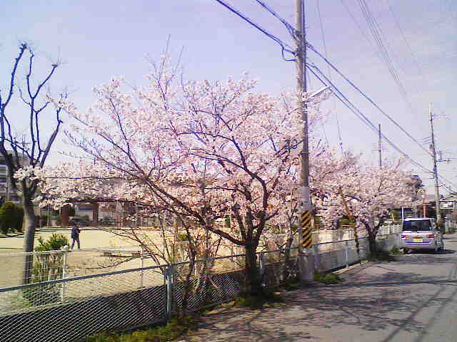 イメージ 2
