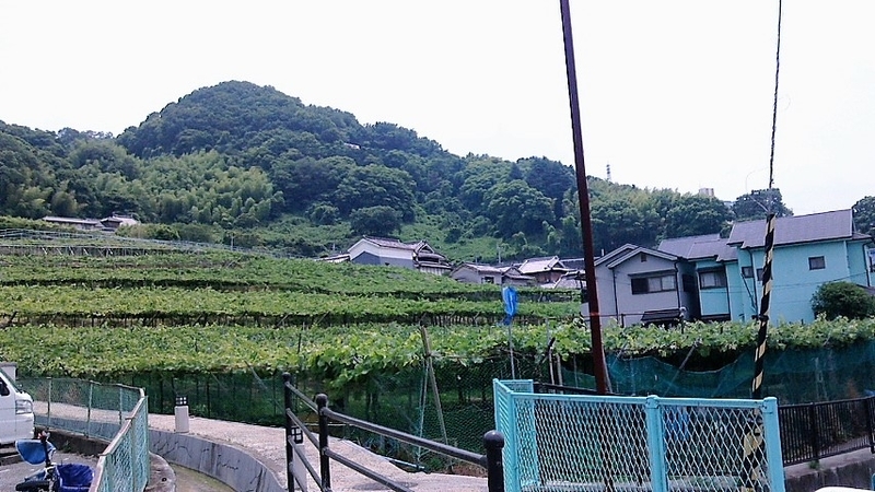 イメージ 2